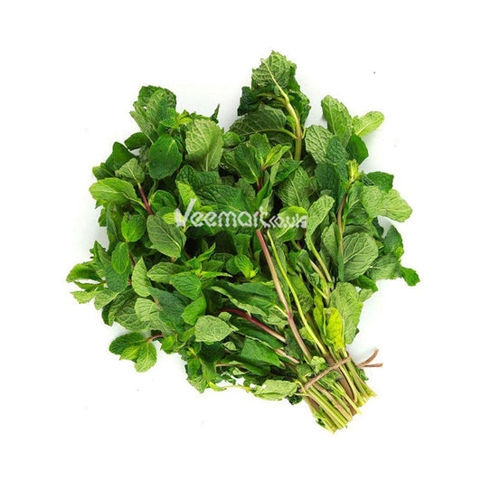 Fresh Mint / Pudina Leaves Bunch