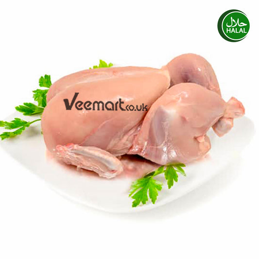 Fresh 100% Halal Baby Chicken 1pcs (Without Skin)